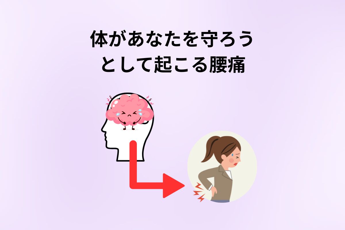 腰痛の原因 (1200 x 800 px)(2)